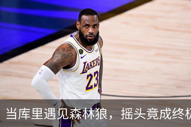 当库里遇见森林狼，摇头竟成终极防守法？