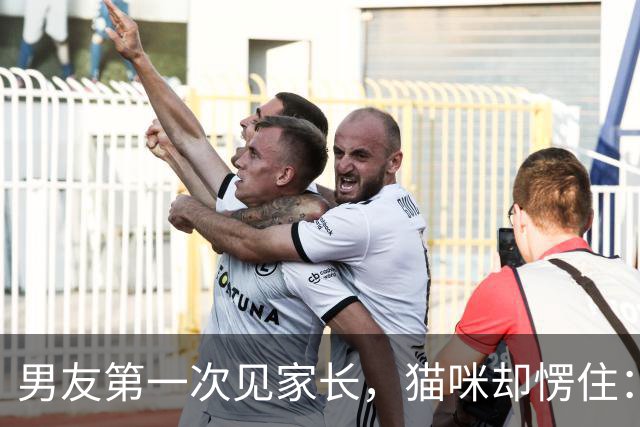 男友第一次见家长，猫咪却愣住：你是哪个星球来的？